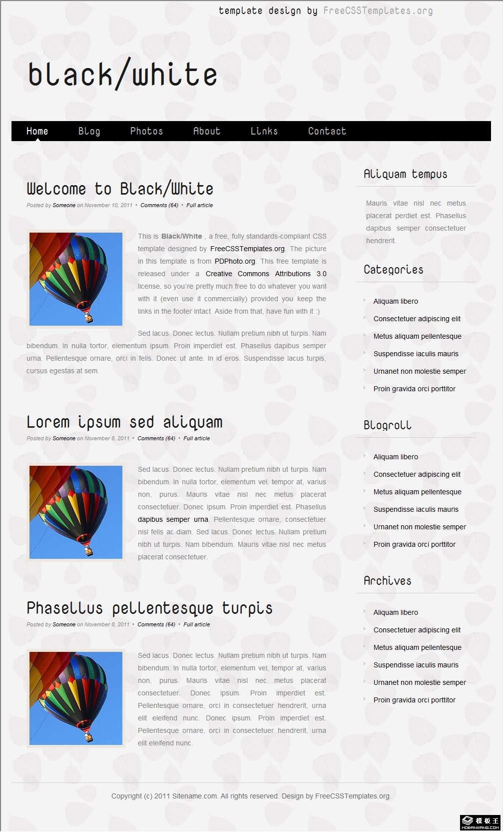 黑白叶底信息网页模板