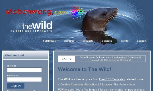 海洋生物保护BLOG网页模板