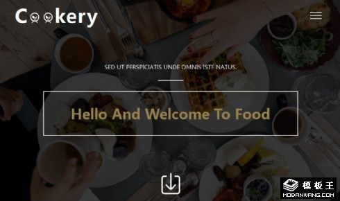 烹饪佳肴介绍响应式网站模板