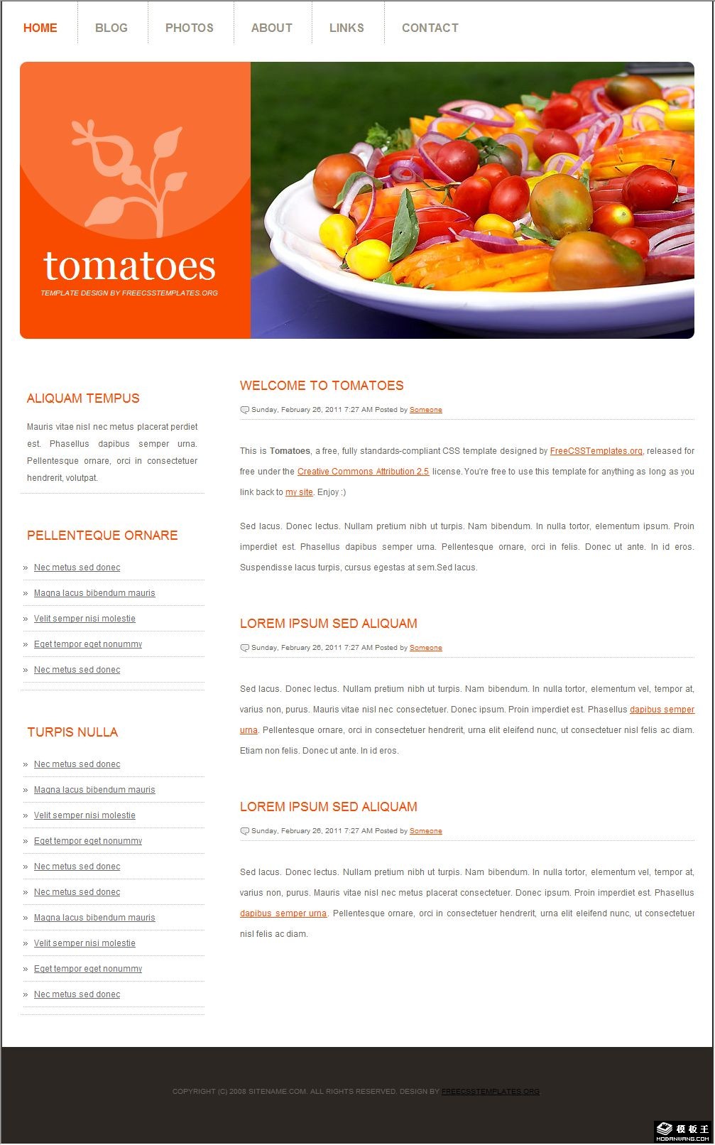 橙色番茄主题信息网页模板