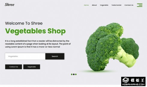 蔬菜商店品种展示网页模板