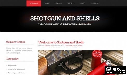 猎枪与子弹blog网页模板