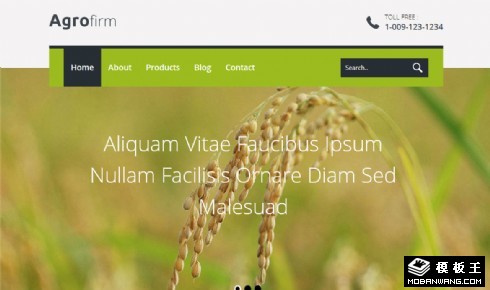 农产品企业响应式网页模板