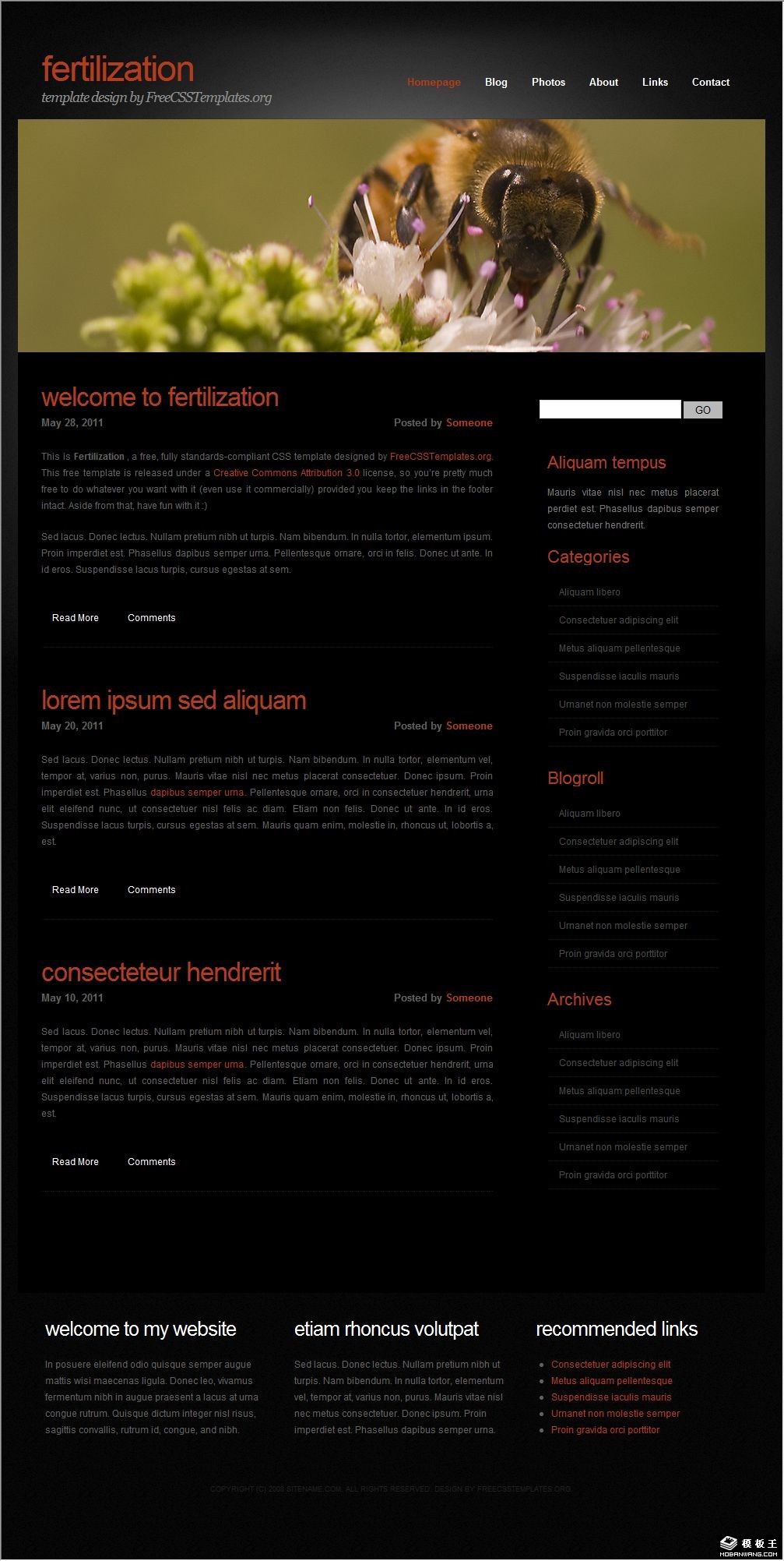 爱的孕育主题网页模板