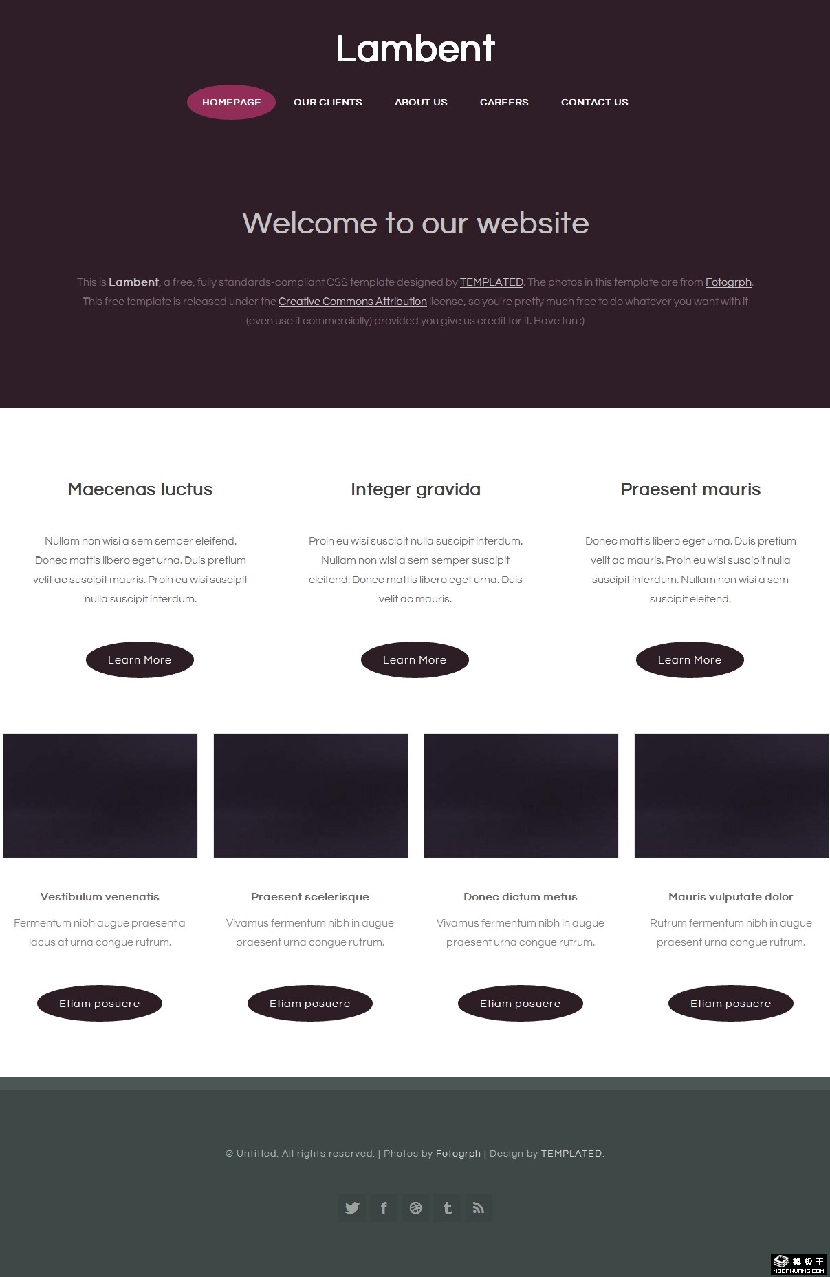 深紫色信息介绍网页模板