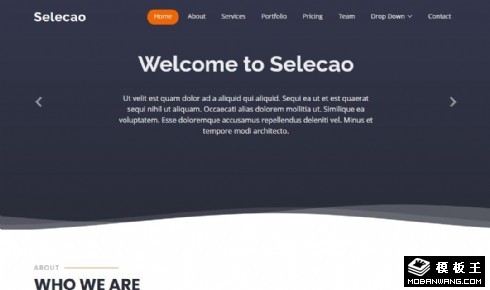 简约业务团队动态响应式网页模板