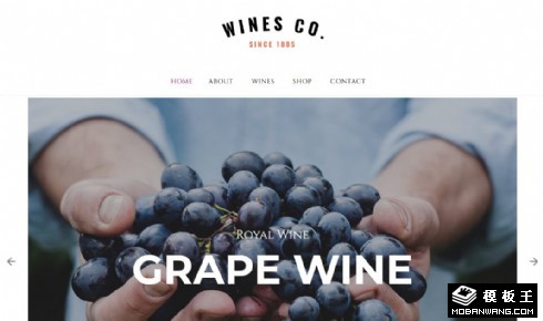 葡萄酒产品展示响应式网页模板