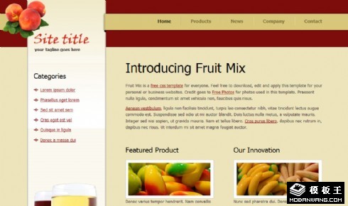 混合水果产品网页模板