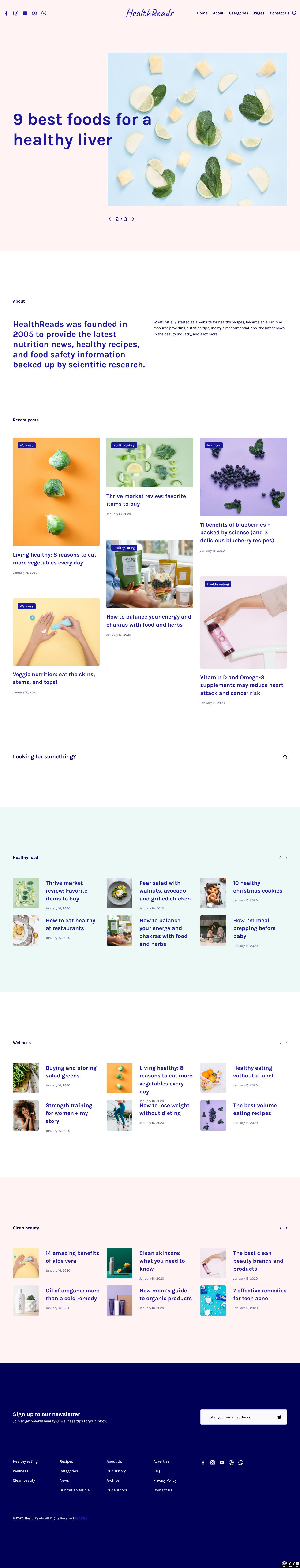 创意健康美容生活blog网站模板-PC预览