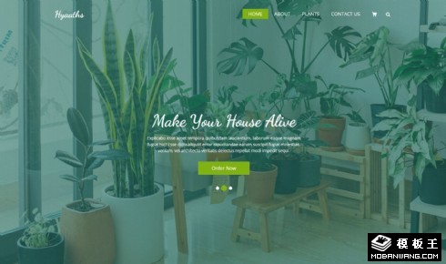 室内盆栽花艺网页模板