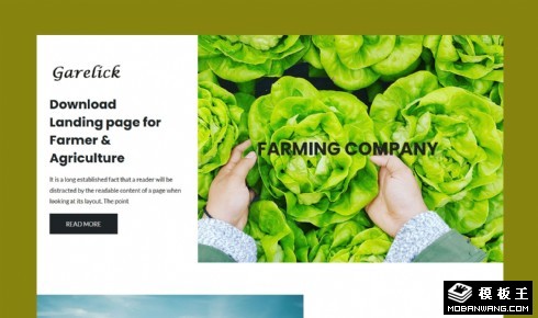 现代有机农场展示网页模板