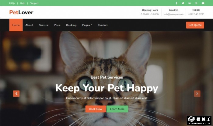 宠物喂食美容训练网页模板