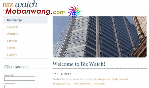 商业视点BLOG网页模板