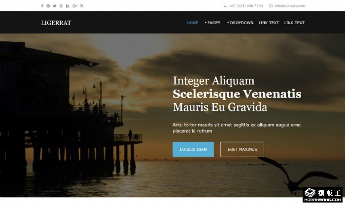 国际业务开发网站模板