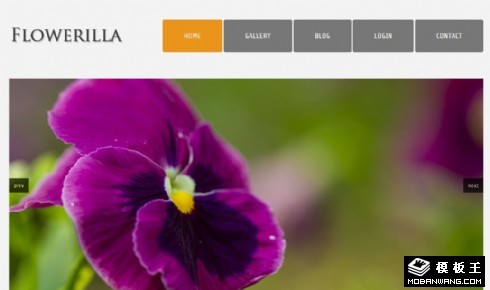 花朵图片展示网页模板
