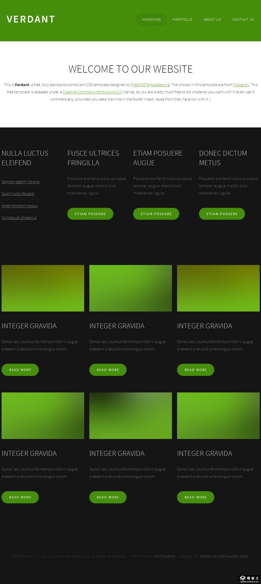 黑域嫩绿信息图片网页模板