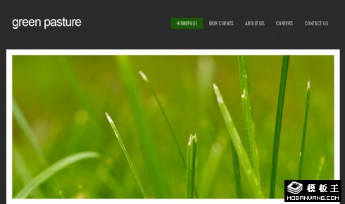 简洁黑白主题信息网页模板