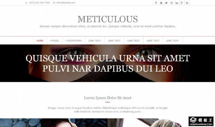 简洁商务资料动态网页模板