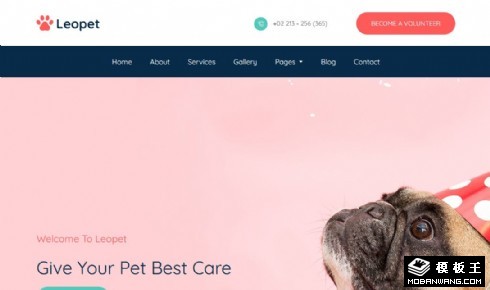 宠物美容护理响应式网页模板