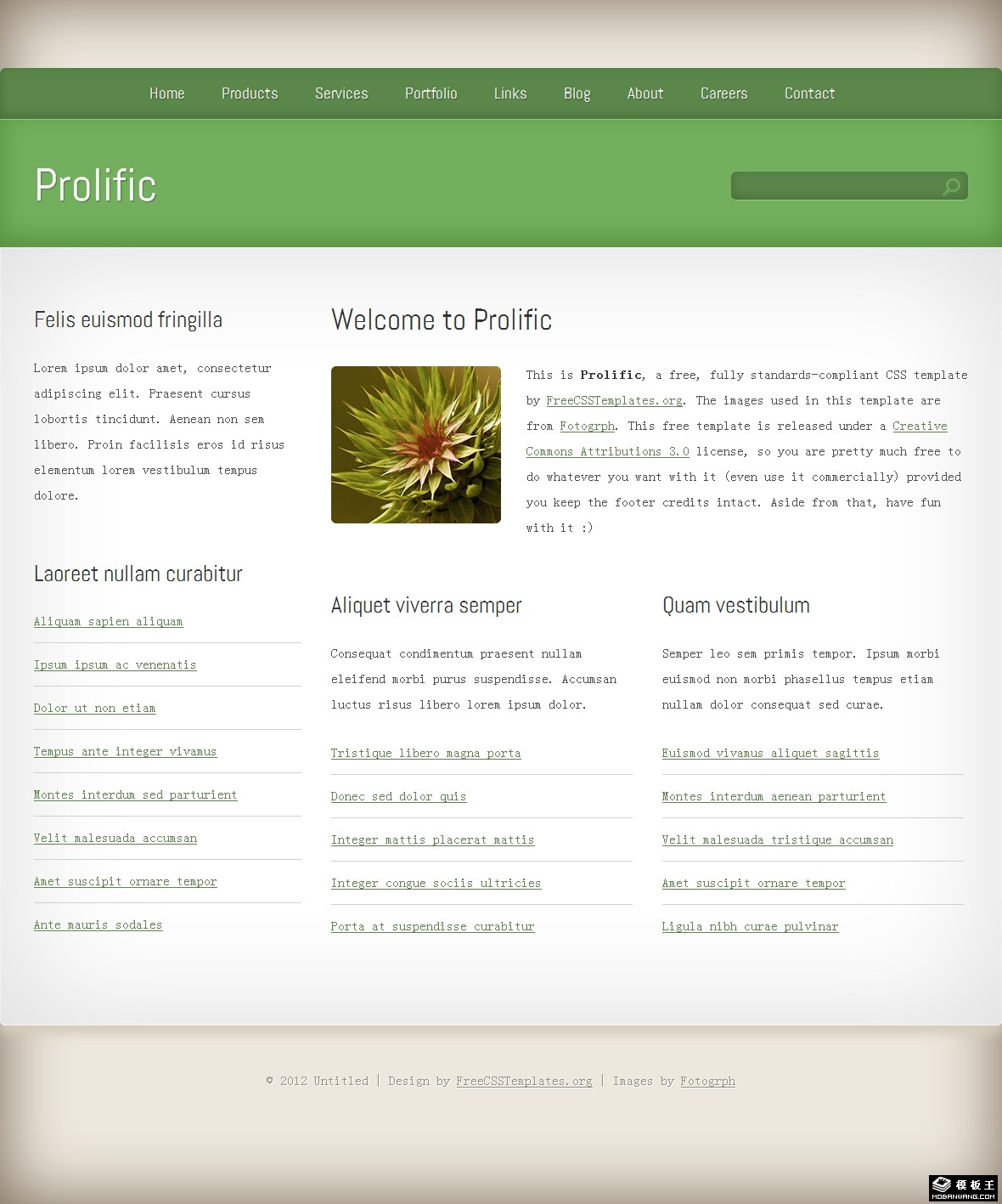 绿色渐变信息动态网页模板