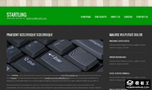 灰绿IT企业网页模板