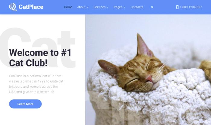 宠物猫俱乐部专属网站模板