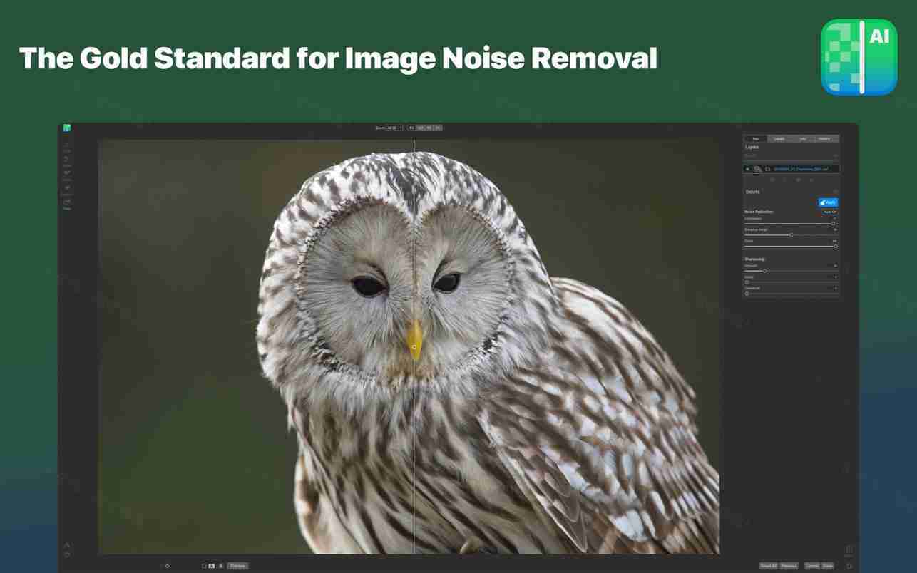 ON1 NoNoise AI 2024.5 For Mac v18.5.1.15726 智能图像降噪软件中文版