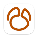 Navicat for MongoDB For Mac v16.3.7 MongoDB 数据库管理工具