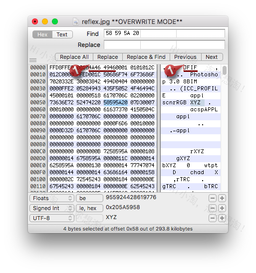 Hex Fiend For Mac 2.13.1 macOS轻量级完美的十六进制编辑软件