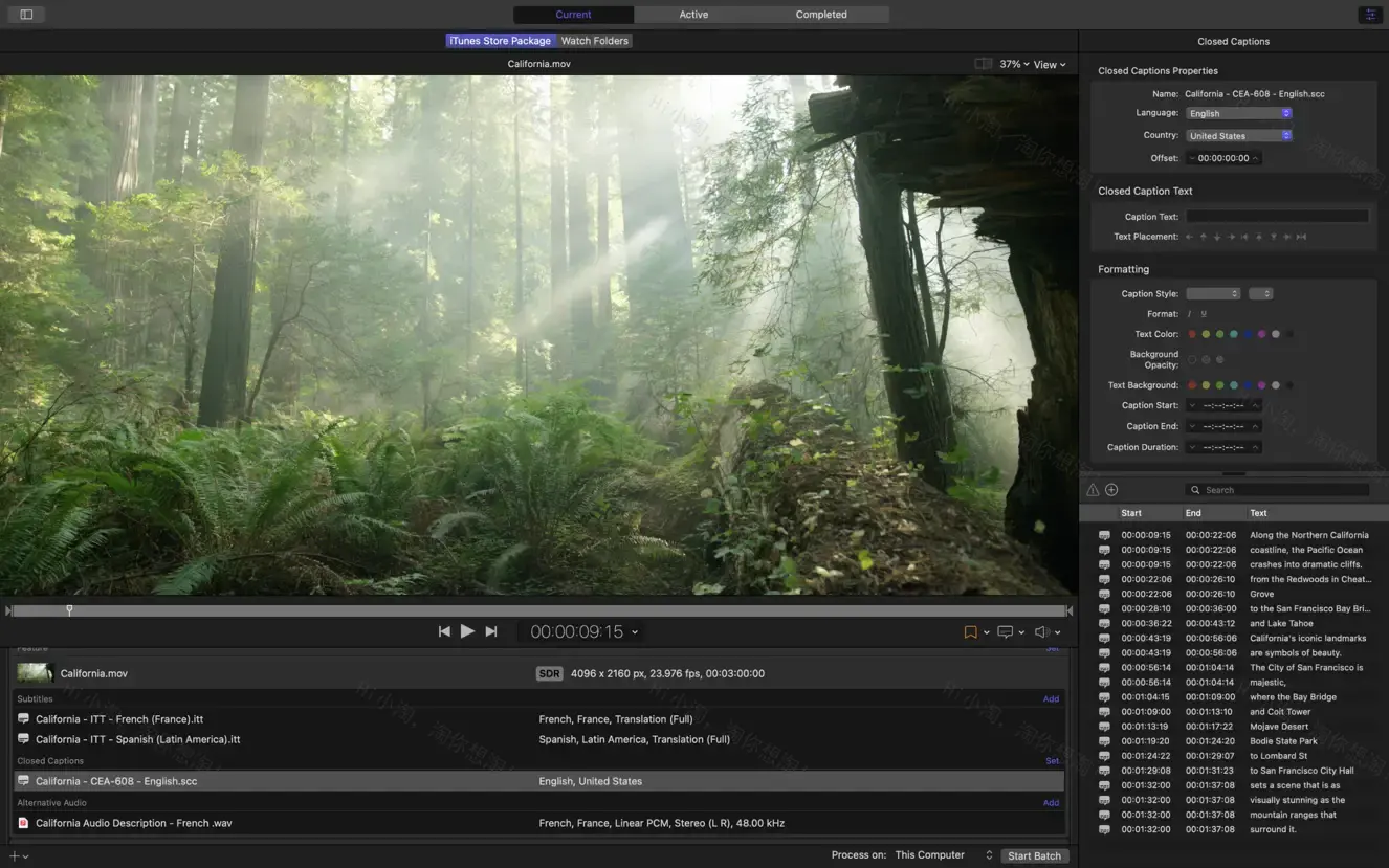 Compressor 4.9 免激活版本FCP高级编码软件