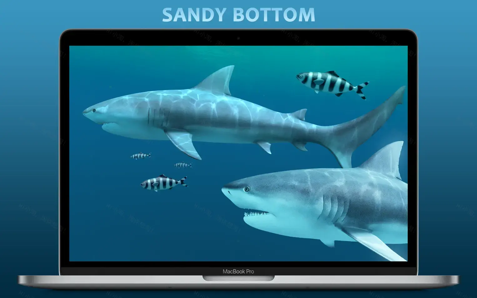 Sharks 3D For Mac v2.1.1 鲨鱼视频壁纸软件