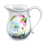 Charles for Mac v4.6.5 HTTP代理监视器抓包工具