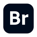 Adobe Bridge 2025 15.0.2.432 Br创意资产管理工具Win版