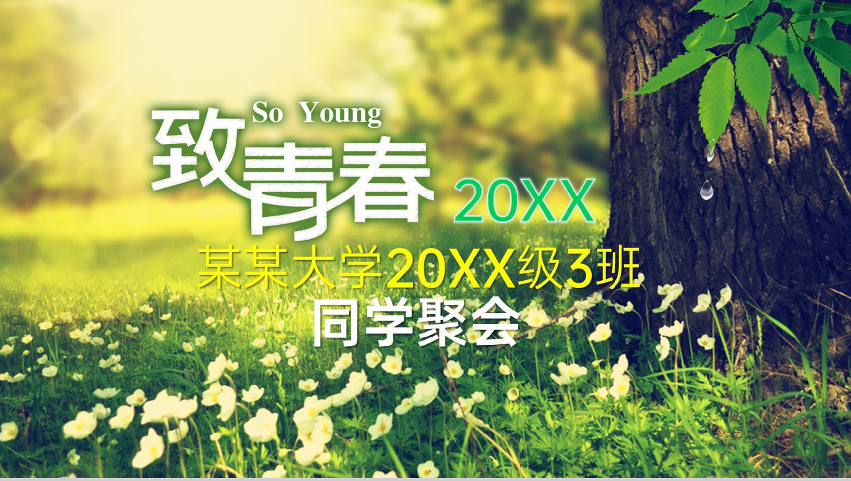 绿色精致风同学聚会校园回忆电子纪念相册PPT模板