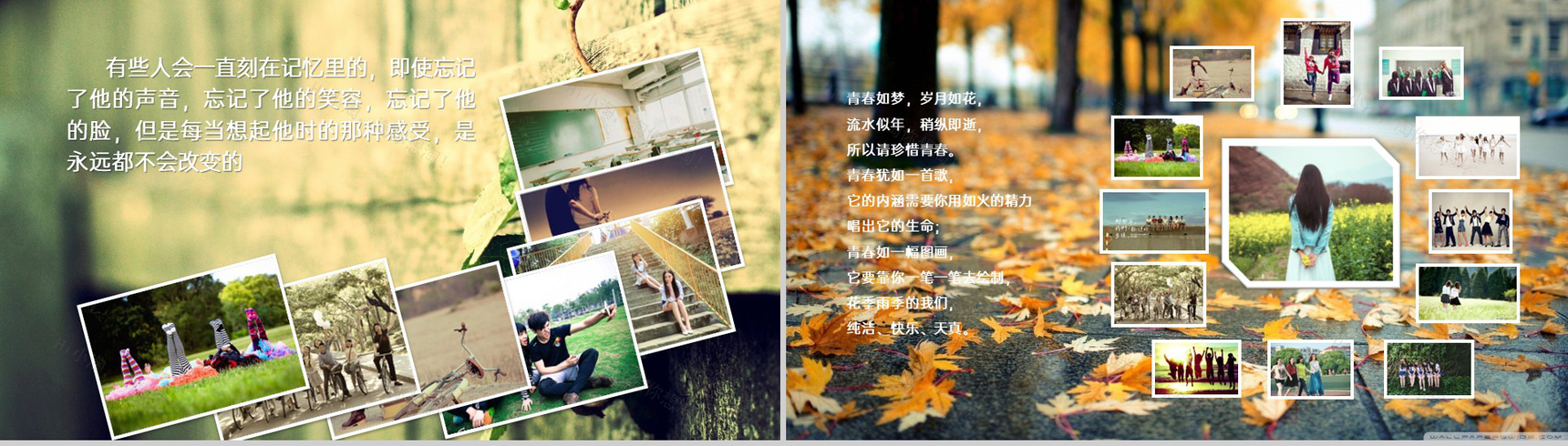 绿色简约风致青春20XX届毕业班同学聚会纪念册PPT模板-2