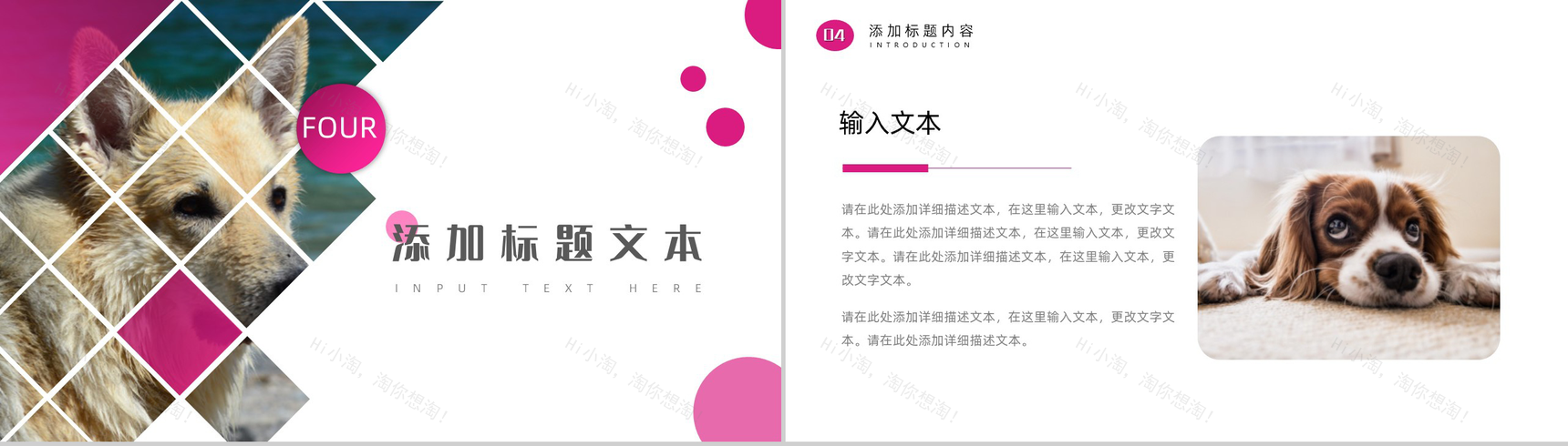 萌宠小动物主题风格PPT模板-8