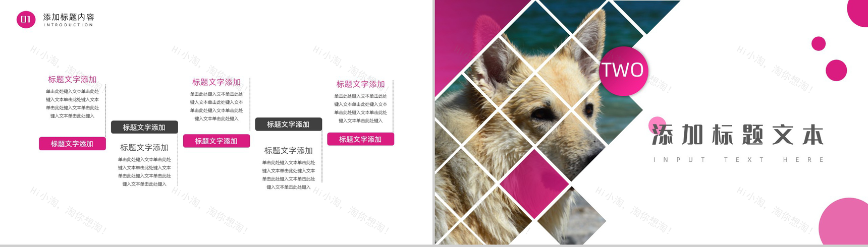 萌宠小动物主题风格PPT模板-4