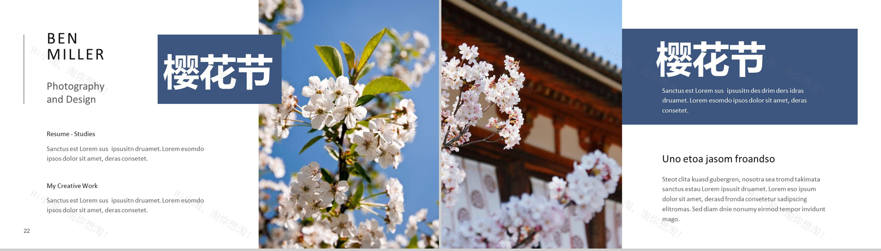 遇见樱花樱花节旅游相册樱花节PPT模板-12