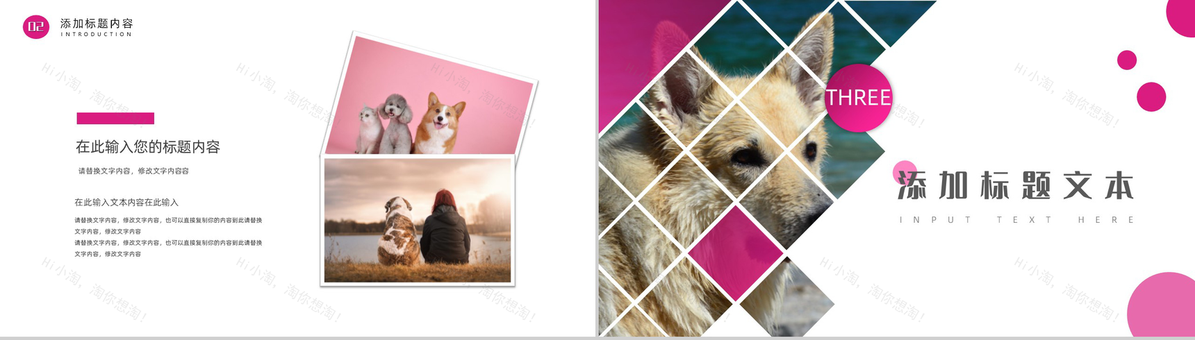 萌宠小动物主题风格PPT模板-6