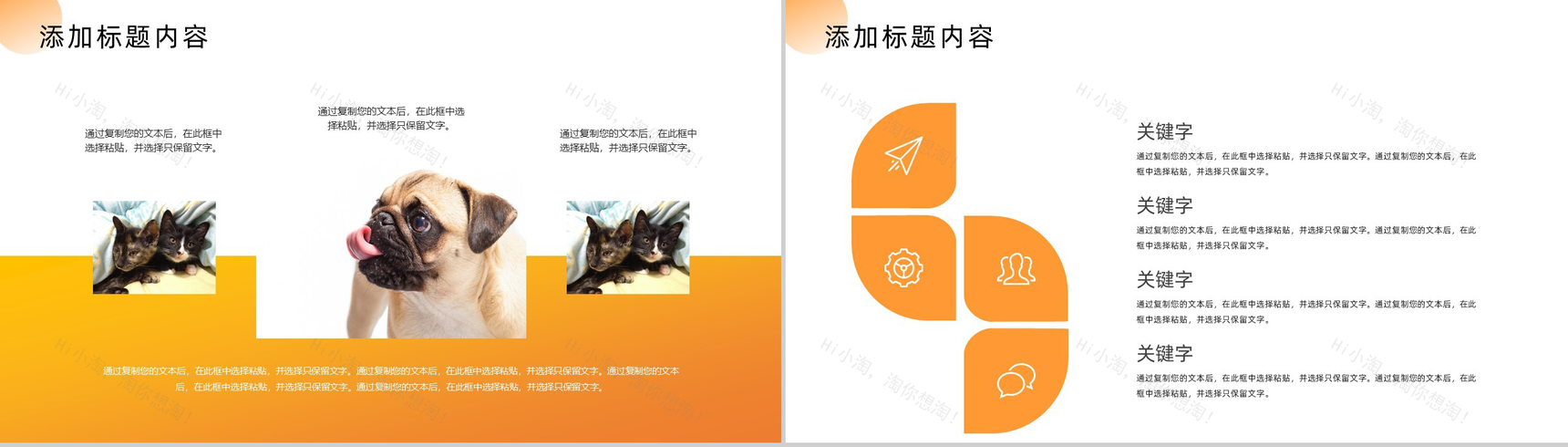 简约橙色宠物医院介绍PPT模板-7