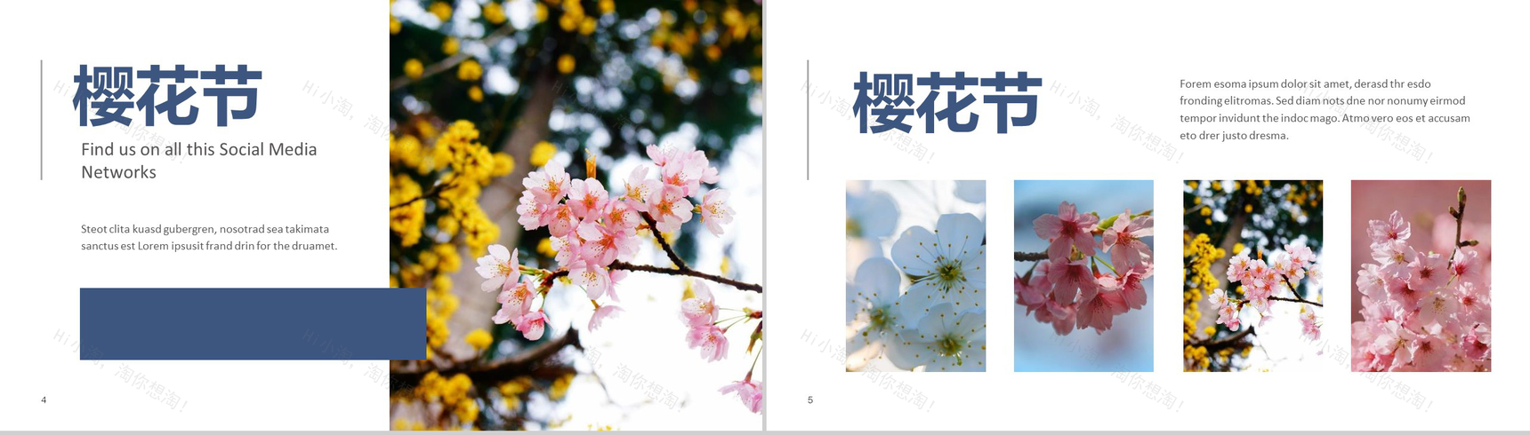 遇见樱花樱花节旅游相册樱花节PPT模板-3