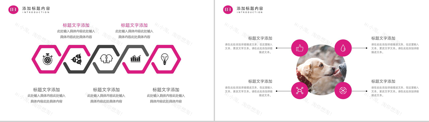萌宠小动物主题风格PPT模板-7