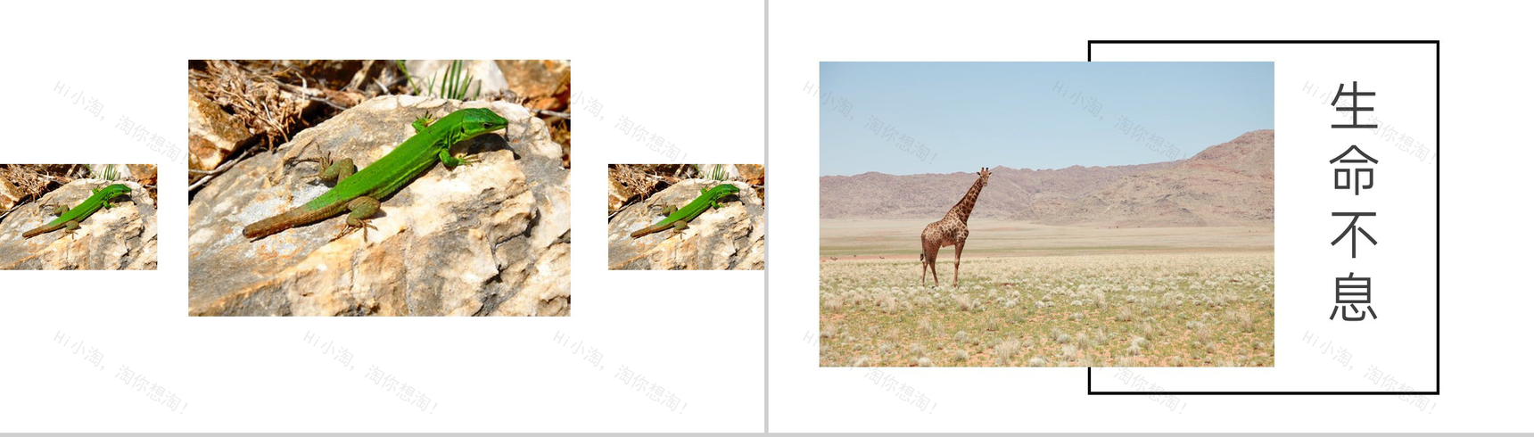 白色简约风敬畏自然公司团建沙漠之旅纪念册PPT模板-10