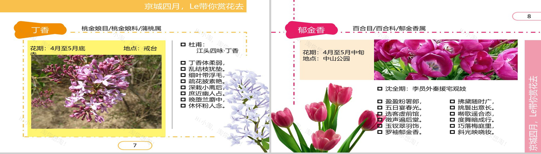 四月繁华开放精美PPT模板-5