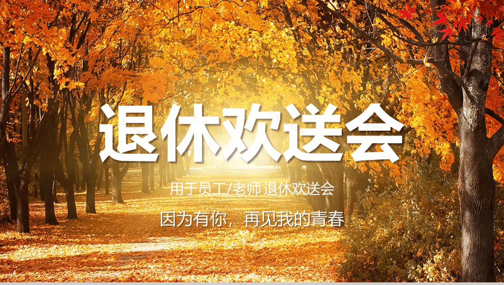 员工老师退休欢送会电子相册PPT模板-1