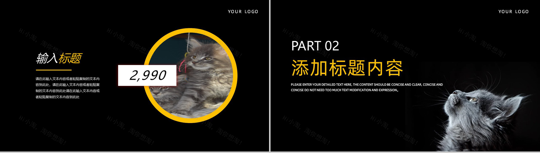 黑色简约萌宠宠物主题项目介绍PPT模板-4