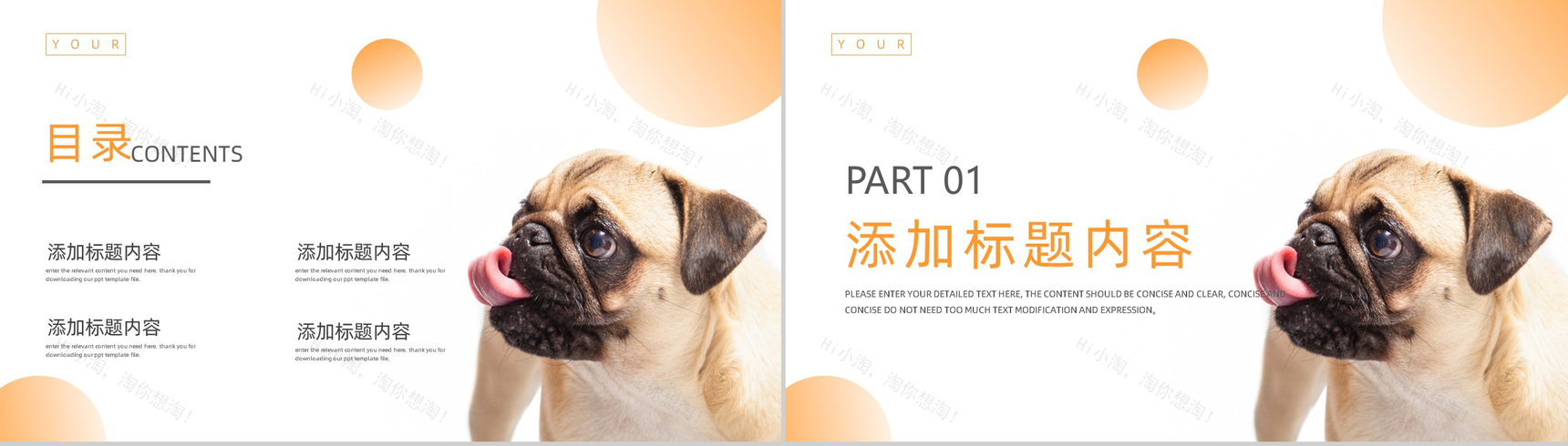 简约橙色宠物医院介绍PPT模板-2