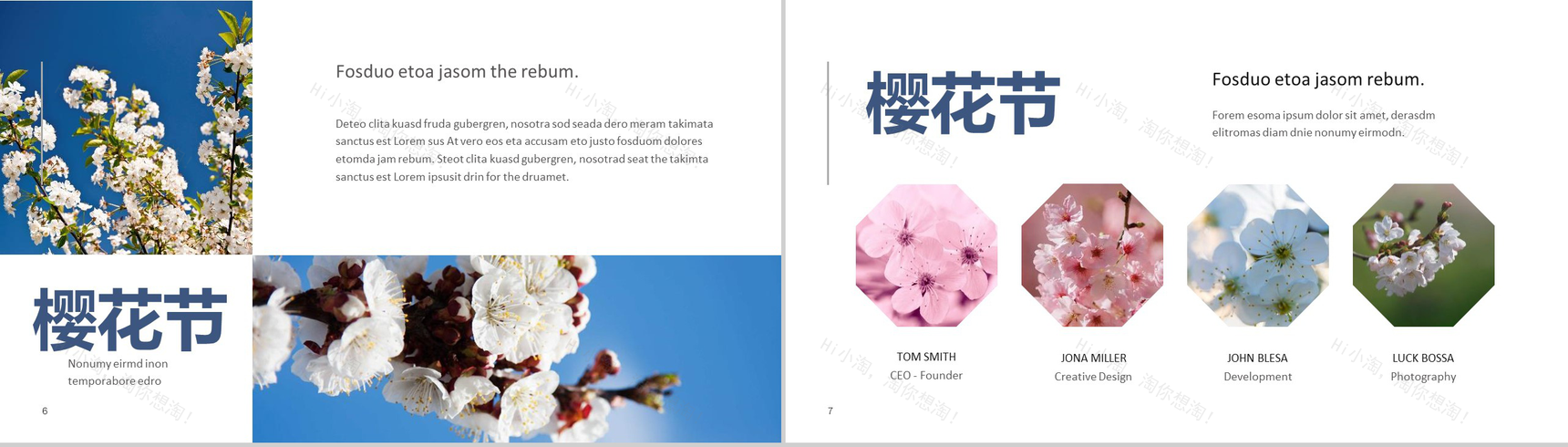 遇见樱花樱花节旅游相册樱花节PPT模板-4