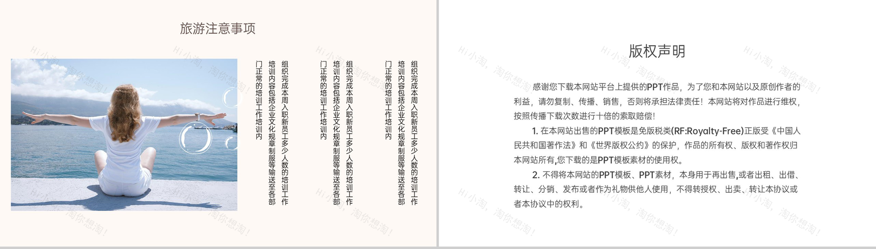 褐色简约小清新风一起去旅行旅游注意事项PPT模板-6