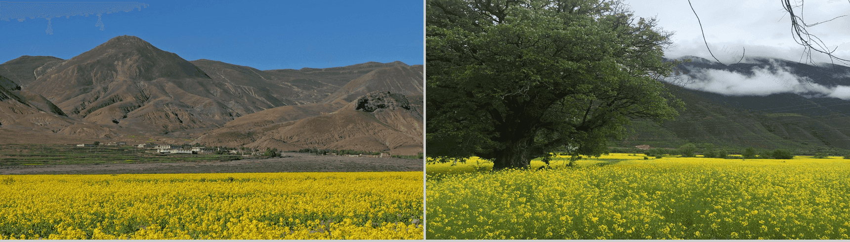 西藏印象旅游宣传PPT模板-11